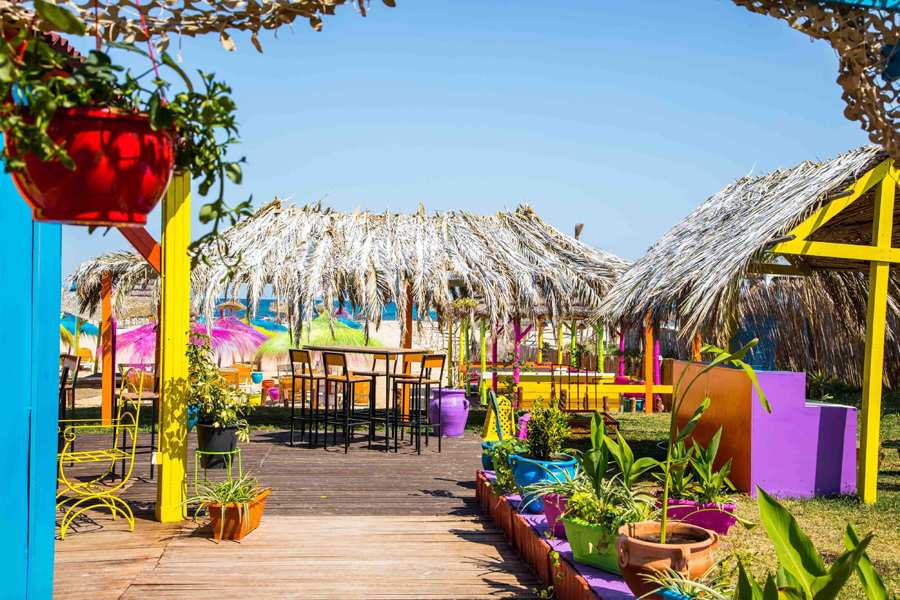 PURA VIDA, le beach le plus coloré de Hammamet réouvre ses portes.