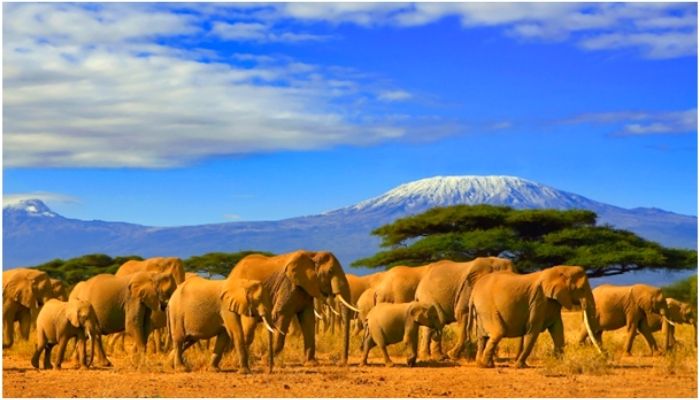 Kenya
